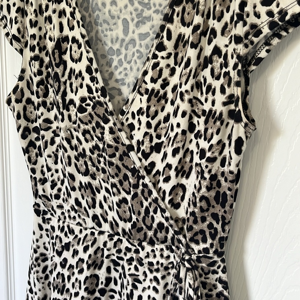 Leopard Dress - Picture 2 of 7